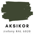 Aksikor-zielony RAL6020.png