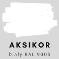 Aksikor-biały RAL9003.png